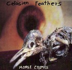 Picture for song '13 steps' by artist 'Morse Cosmos'