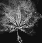 Picture for song 'Loud' by artist 'Mr Marx Productions'