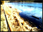 Picture for song 'Taken By You (O.D)' by artist 'O Skeet'