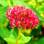 Picture for song 'Farewell Lullaby (Piano Solo)' by artist 'Paraxy'z'