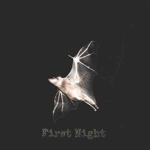 Picture for song 'TAKE MY TIME' by artist 'PROMETAZZIN'