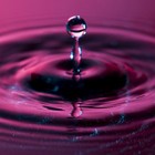 Picture for song 'Drip Drop (Hip-Hop)' by artist 'Rapter'