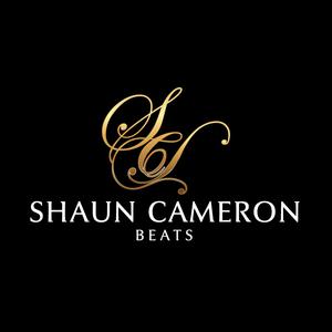Picture for song 'BeThere - Trap Beat' by artist 'ShaunCameron Beats'