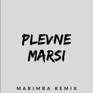 Picture for song 'Sonnerie Gratuite Plevne Marsi (Marimba Remix)' by artist 'SonneriePortable'