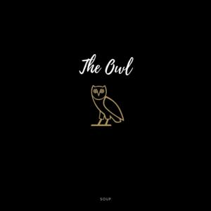 Picture for song 'The Owl (Drake Type Beat)' by artist 'SoupBeats'