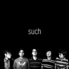 Picture for song 'nothing' by artist 'Such'