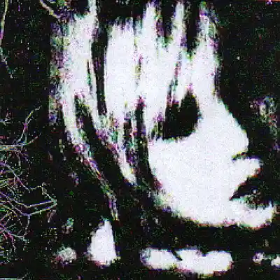Picture for song '[FREE] silent hill (cloud rap x clams casino)' by artist 'svcghost.exe64'