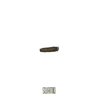 Picture for song 'Blunt' by artist 'SWAMIQ'