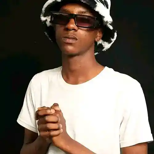Artist picture