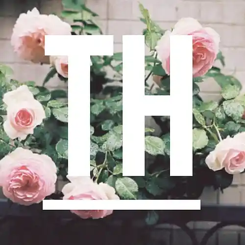 cover pic