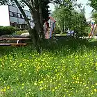 Picture for song 'They Sold the House' by artist 'Terje Dokland'