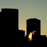 Picture for song 'Mood Change' by artist 'The Serendipitous Cacophonies'