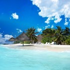 Picture for song 'Summer Time (Free D/L)' by artist 'Tony Fadd'