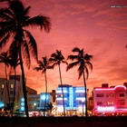 Picture for song 'Summer in Miami (SOLD)' by artist 'Trackslammerz'