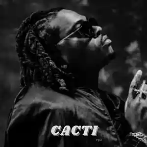 Picture for song 'CACTI - BUY 1 GET 4 FREE - Gunna Type Beat' by artist 'TSH'