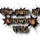 Picture for song 'The Pain of Knowing You' by artist 'Velkro Merkin'