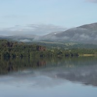 Picture for song 'Heather (GIO)' by artist 'Viking Blues'