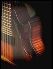 Picture for song 'Waltz' by artist 'Walla Walla Pickers'