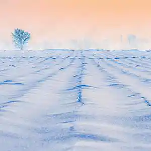 Picture for song 'Snow(Prod.whoDeany)' by artist 'whoDeanyBeatz'