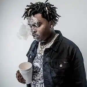 Picture for song 'Water // Gunna Type Beat' by artist 'Whooopsi'