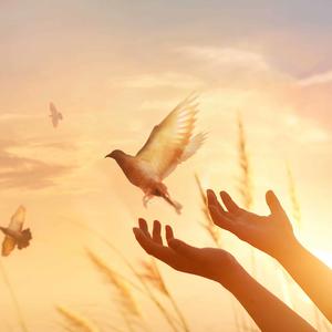 Picture for song 'Forgive' by artist 'Zordag'