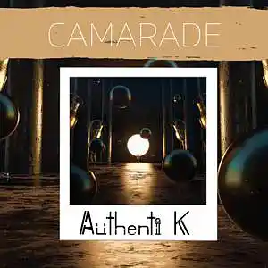Picture for song 'Ninho x Gims x Maes x Franglish x Doria' by artist 'Authenti K Beatmaker'