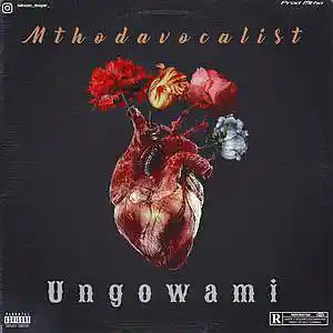 Picture for song 'Ungowami' by artist 'Mthodavocalist'