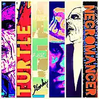 Picture for song 'Ice Cold' by artist 'Turtle Necromancer'