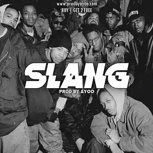 Picture for song 'Slang - 98 Bpm 90s Oldschool Boom Bap Beat' by artist 'Ayoo'