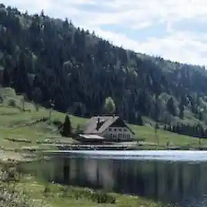 Picture for song 'Sonate 2 en ré majeur (Mvt 3)' by artist 'Christian Faivre'