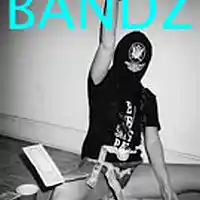 Picture for song 'BANDZ' by artist 'DESMOND CAMPBELL'