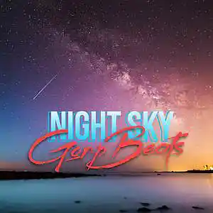 Picture for song 'NIGHT?SKY - GorpBeats' by artist 'GorpBeats'
