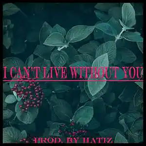 Picture for song 'I can't live without you' by artist 'HATIZ'