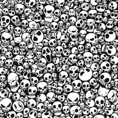 cover pic