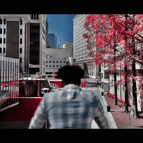 cover pic
