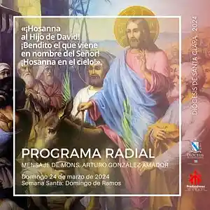Picture for song 'Domingo de Ramos, 24 de marzo' by artist 'Producciones Vandor'