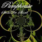 Picture for song 'Shobadee Skank' by artist 'Pumphouse'