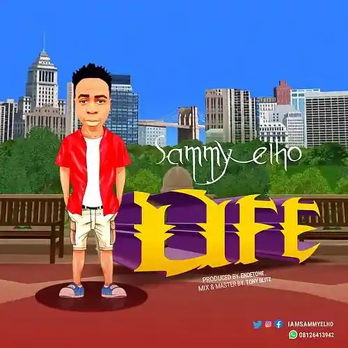 Picture for song 'Sammy Elho Life' by artist 'SammyElho'