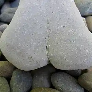 Picture for song 'rock bottom' by artist 'skeeter'