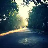 Picture for song 'Summer Nights' by artist 'Golden Day'