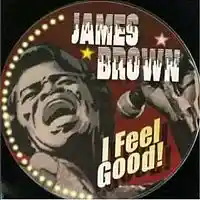 Picture for song 'I feel good' by artist 'Jizef beats'