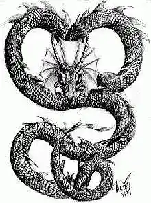 Picture for song 'Bluebossa Acousic Improv' by artist 'Snake Works'