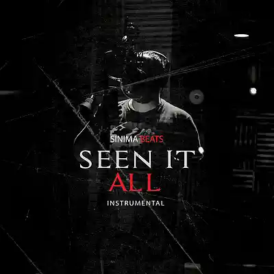 Picture for song 'Seen it All' by artist 'SINIMA BEATS'