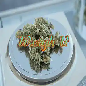 Picture for song 'Weigh It' by artist 'Anac On The Beat'