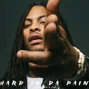 Picture for song 'Hard In Da Paint' by artist 'Cocaine Beats'
