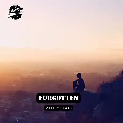 Picture for song 'FORGOTTEN [EMO COUNTRY RAP TYPE BEAT]' by artist 'Malley Beats'