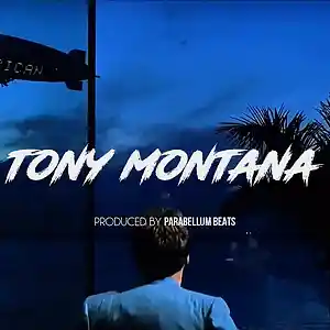 Picture for song 'Tony Montana' by artist 'Parabellum Beats'