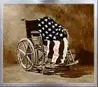 Picture for song ''The Old Veteran'' by artist 'Tom Tripp'