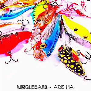 Picture for song 'Wigglebass (Produced by Ace Ha)' by artist 'Uncle Ace Ha'