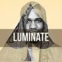 Picture for song 'Luminate ' by artist 'ACE AP PRODUCTIONS'